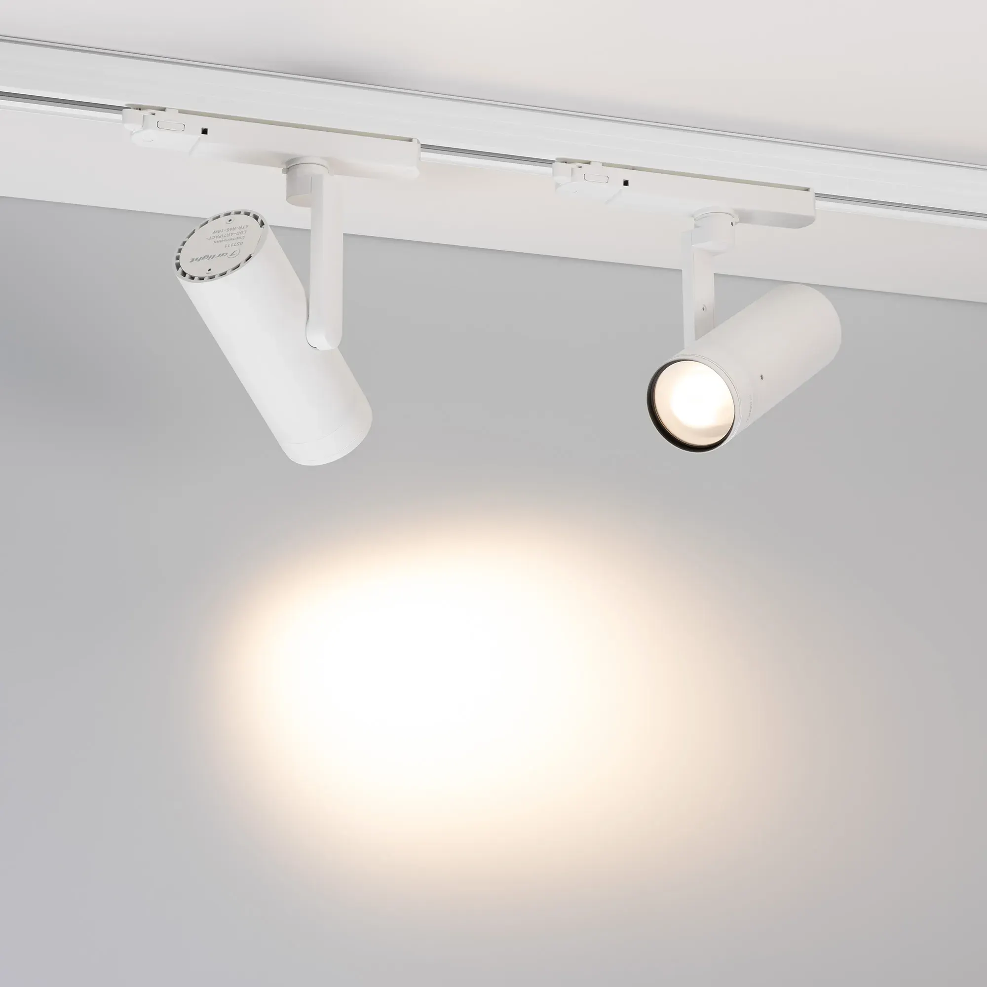 Насадка торцевая для светильника Arlight LGD-ARTIFACT-OVAL-LENS-R65 WH / 057149 — фото 2
