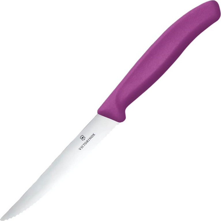 Нож Victorinox Swiss Classic 6.7235.C1