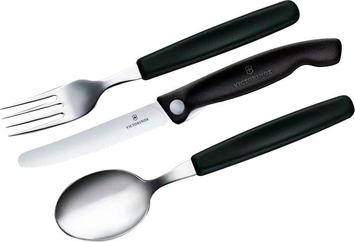 Набор столовых приборов Victorinox Swiss Classic 6.7193.3F