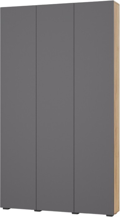 Шкаф Modern И31 (золотой дуб/графит)