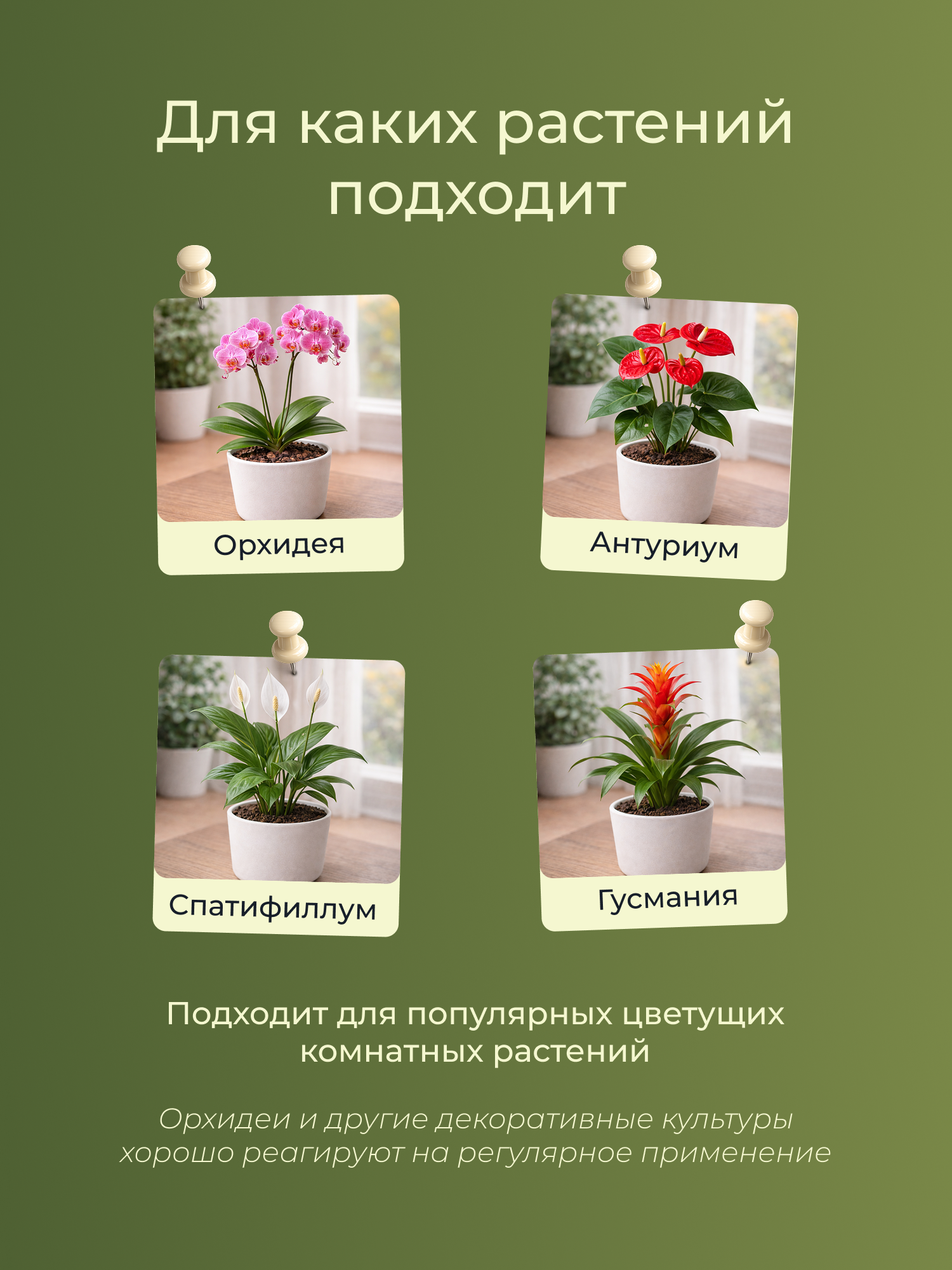Удобрение Докшицкая станица Биогумус для орхидей (1л) — фото 3