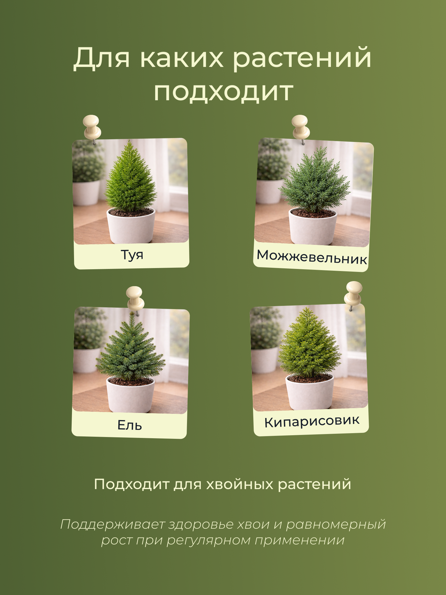 Удобрение Докшицкая станица Биогумус для хвойных растений (1л) — фото 3