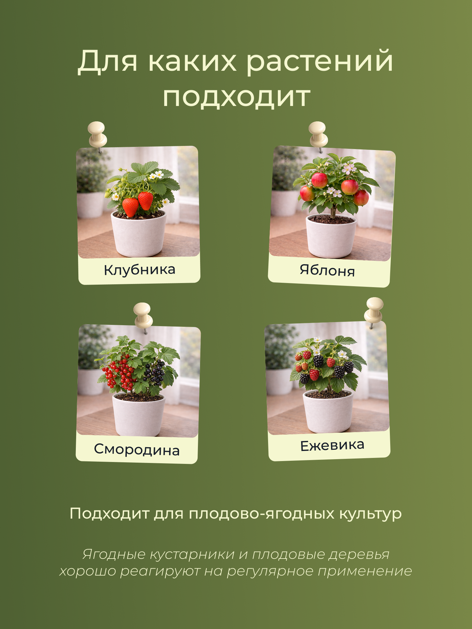 Удобрение Докшицкая станица Биогумус для плодово-ягодных растений (1л) — фото 3