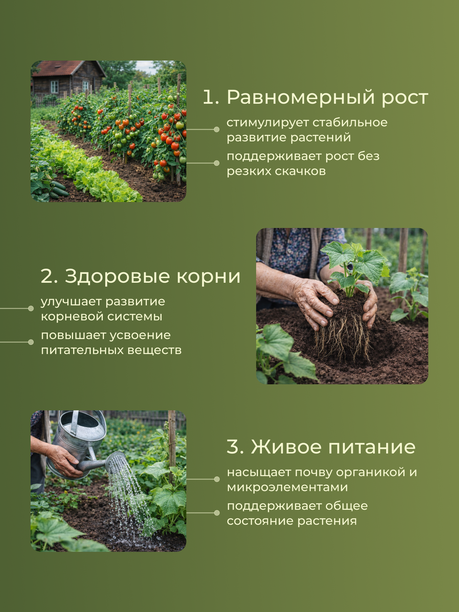 Удобрение Докшицкая станица Биогумус универсальный (1л) — фото 3