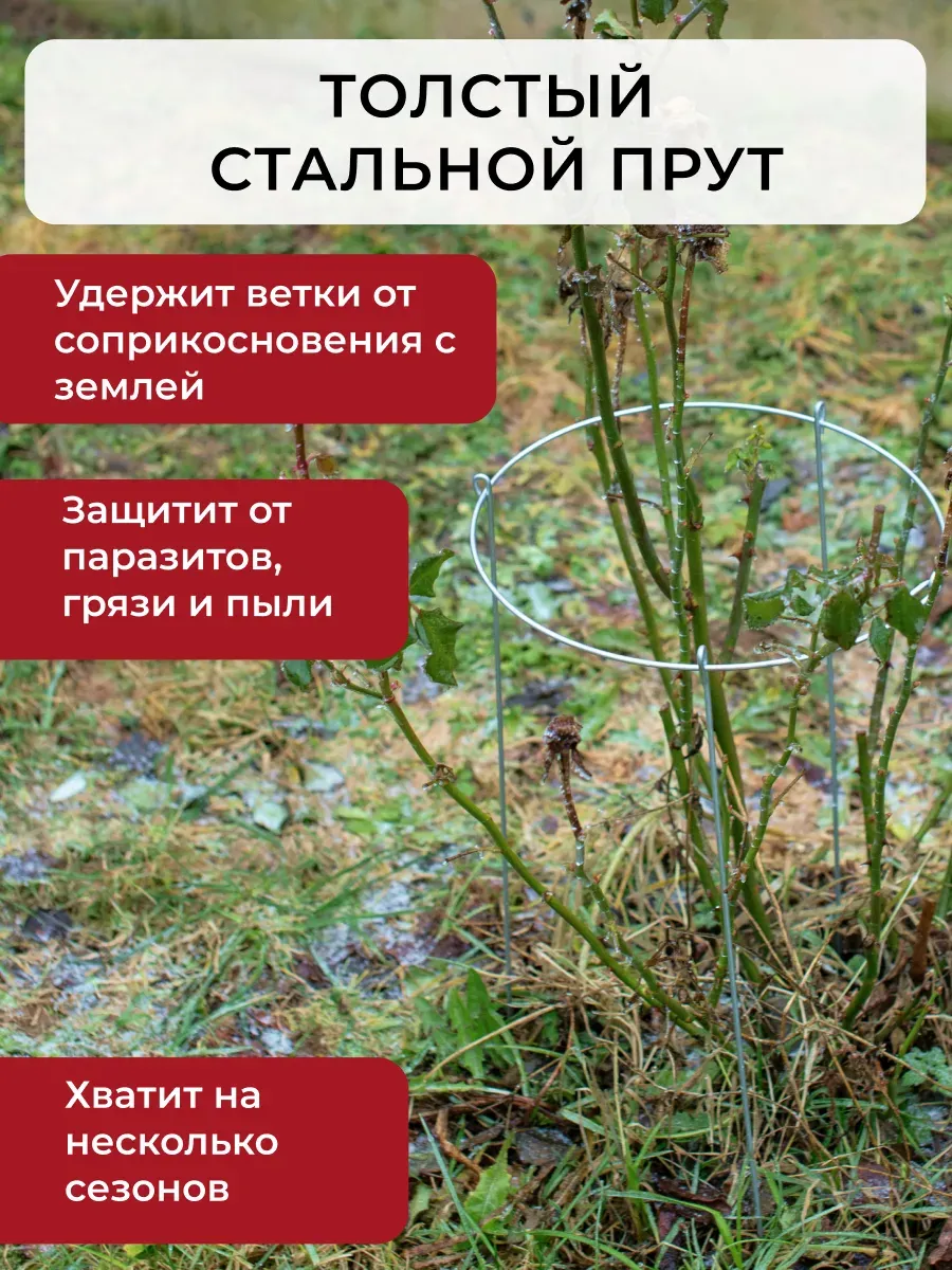 Опора для растений ARTELIKA Удлинённые для цветов и кустов 30х60см (3шт) — фото 4