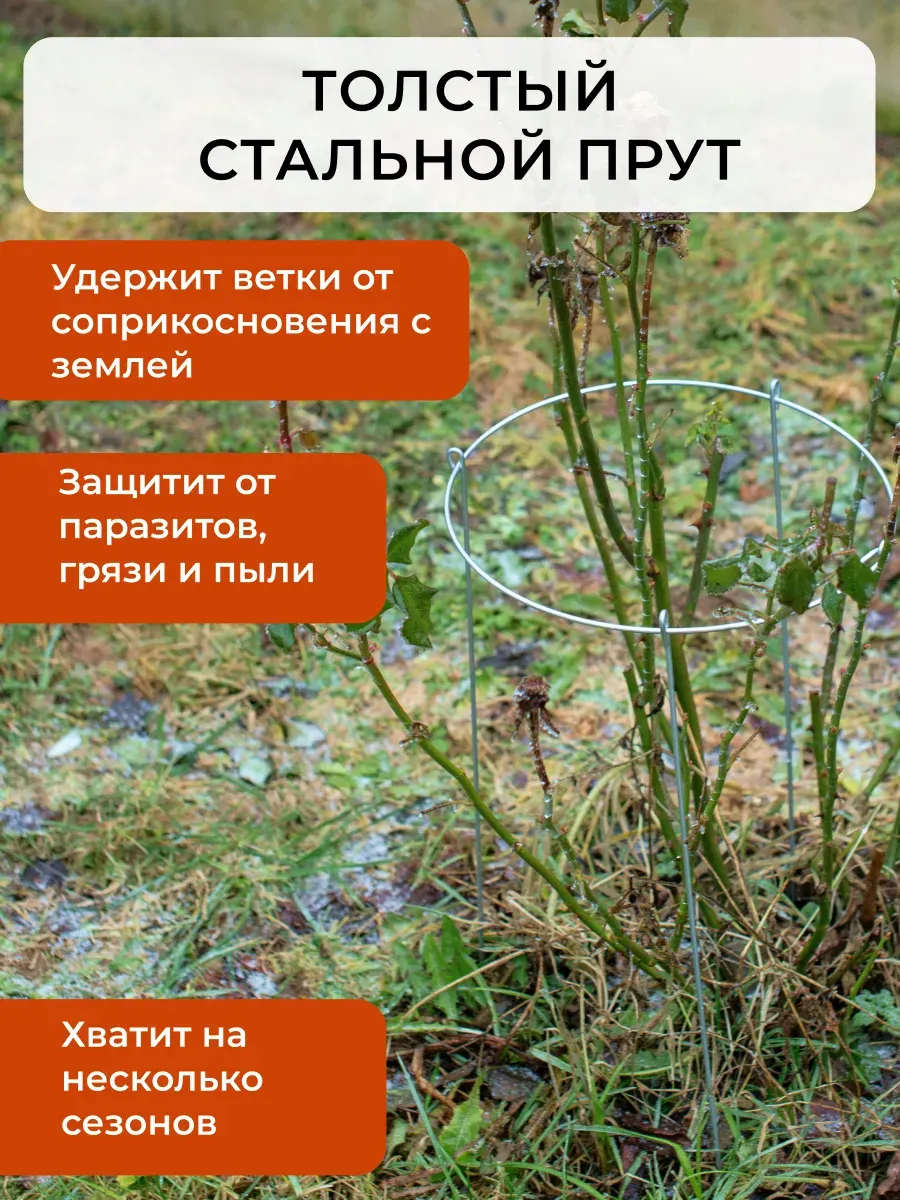 Опора для растений ARTELIKA Удлинённые для цветов и кустов 40х70см (3шт) — фото 4
