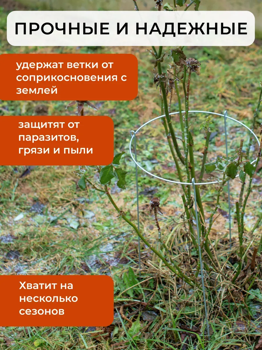 Опора для растений ARTELIKA Удлинённые для цветов и кустов 40х70см (3шт) — фото 6