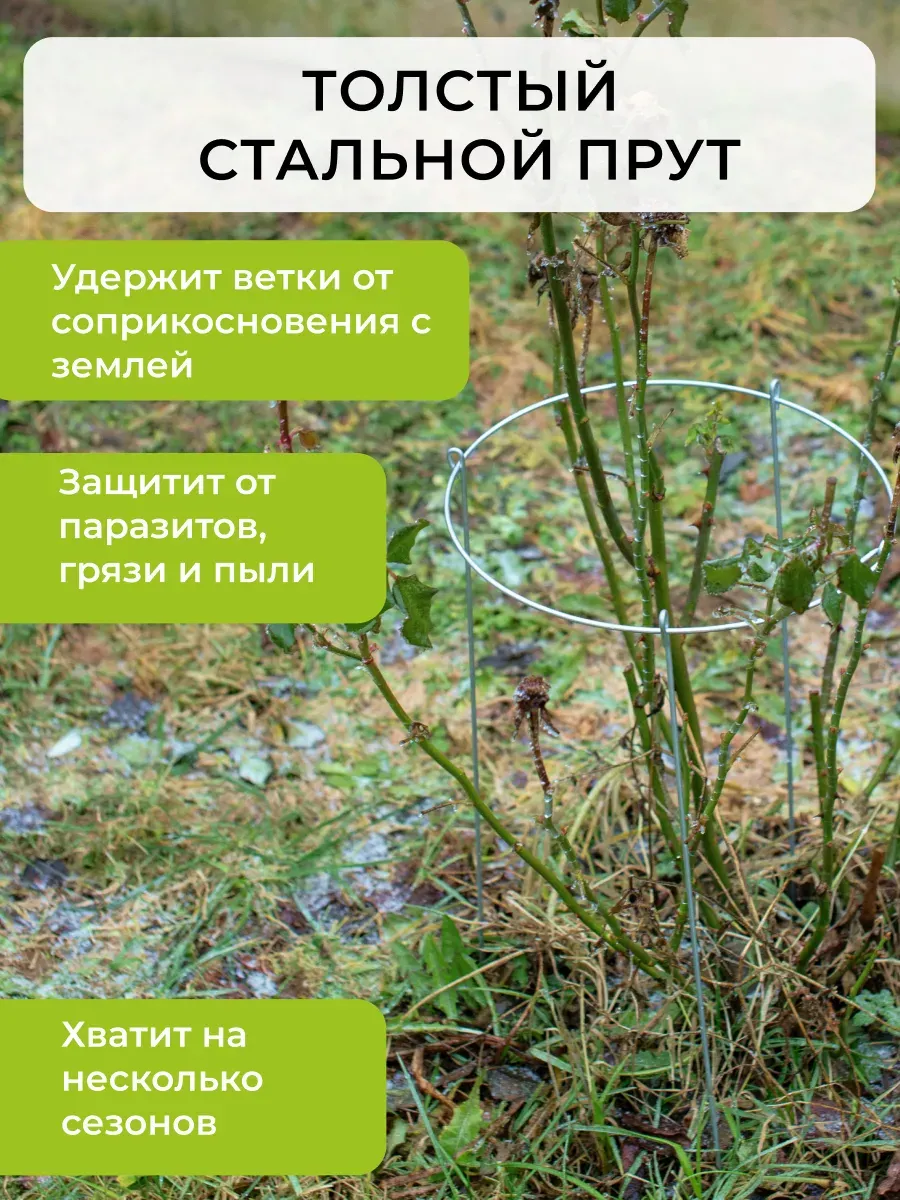 Опора для растений ARTELIKA Удлинённая с кругом для цветов и кустов 50х80см (3шт) — фото 3