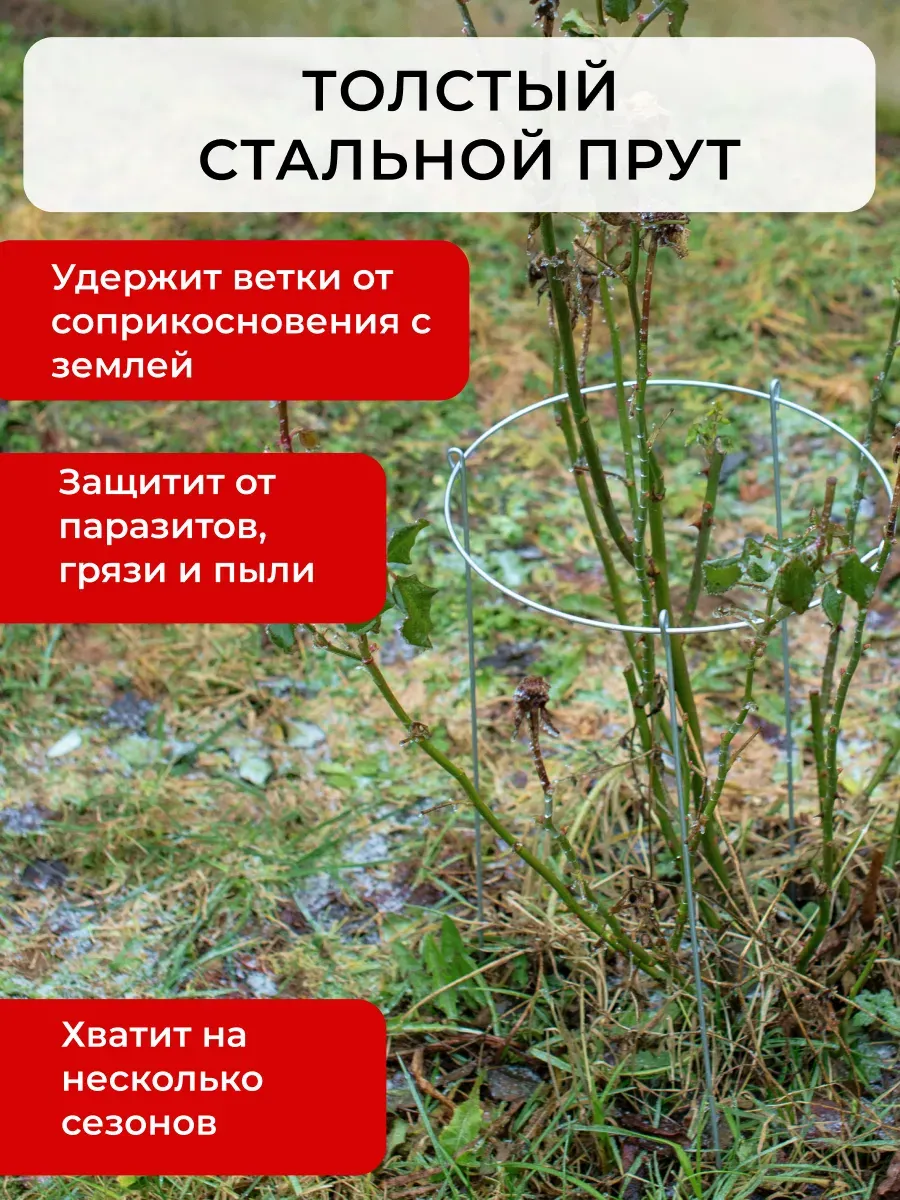 Опора для растений ARTELIKA Удлинённые с кругом для цветов и кустов 60х80см (3шт) — фото 4