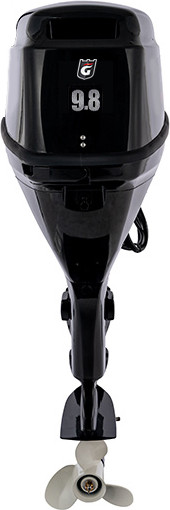 Мотор лодочный Parsun F9.8FWS
