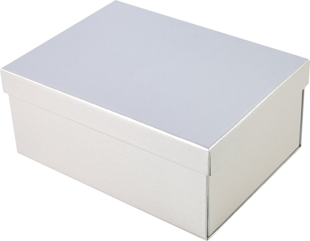 Коробка подарочная Logoton 220x160x95мм / 9207255 (серебристый)