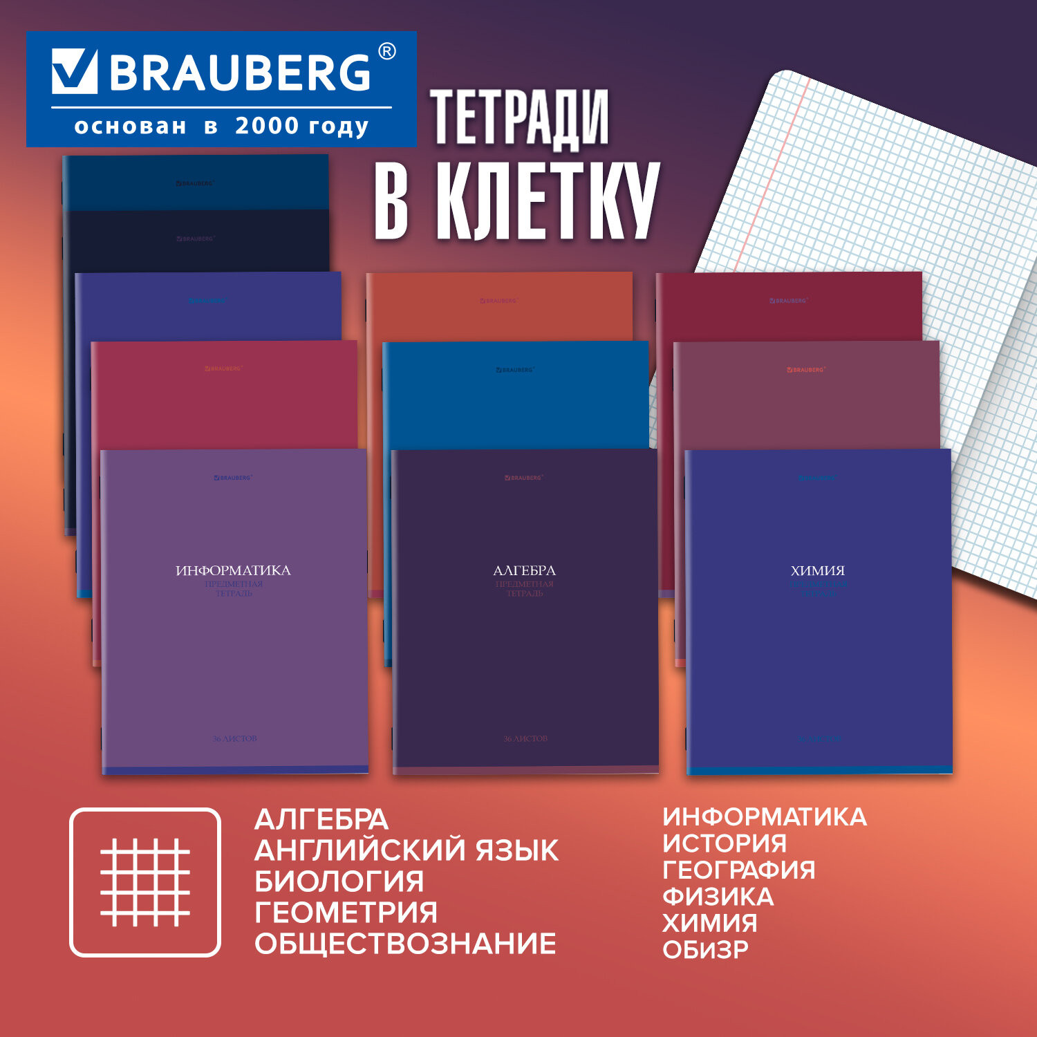 Набор предметных тетрадей Brauberg 405161 (36л) — фото 4