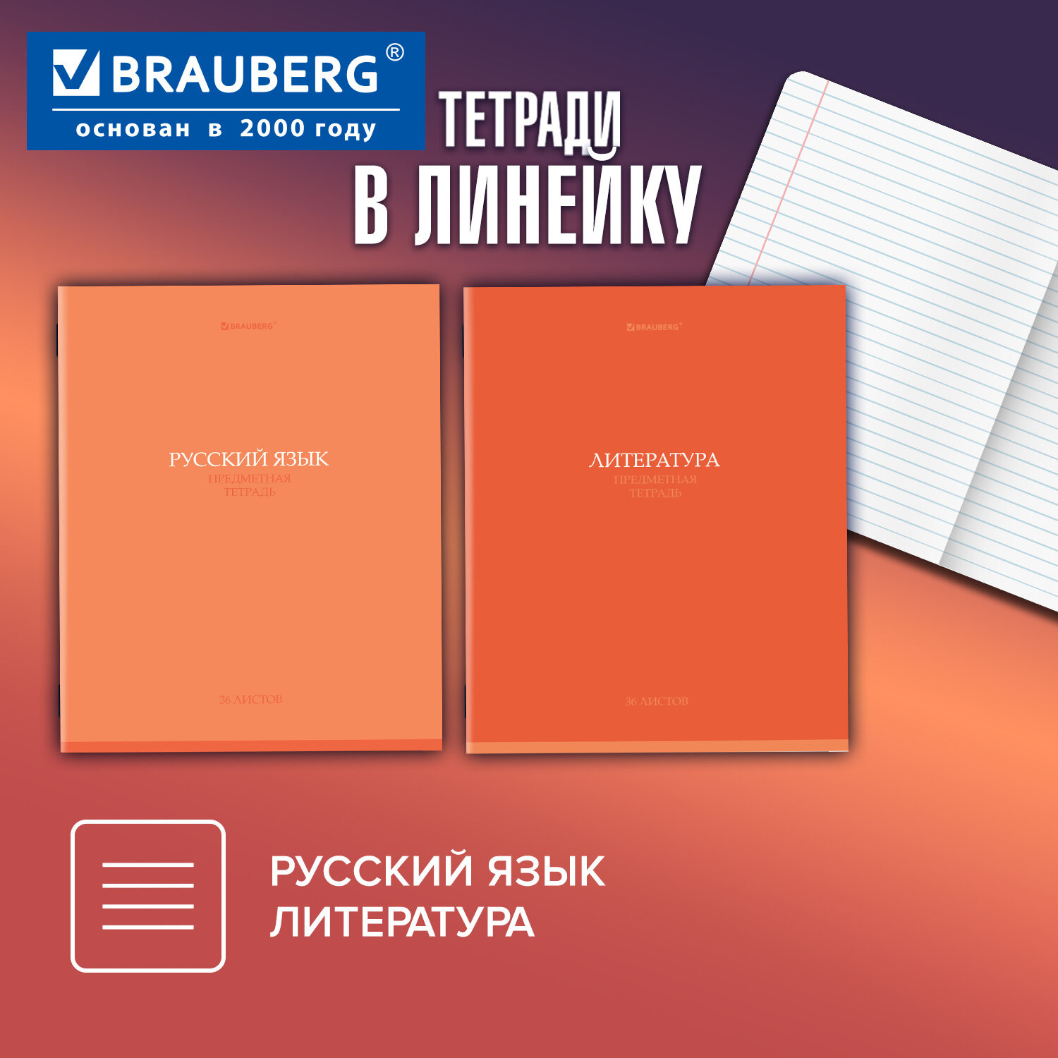Набор предметных тетрадей Brauberg 405161 (36л) — фото 3