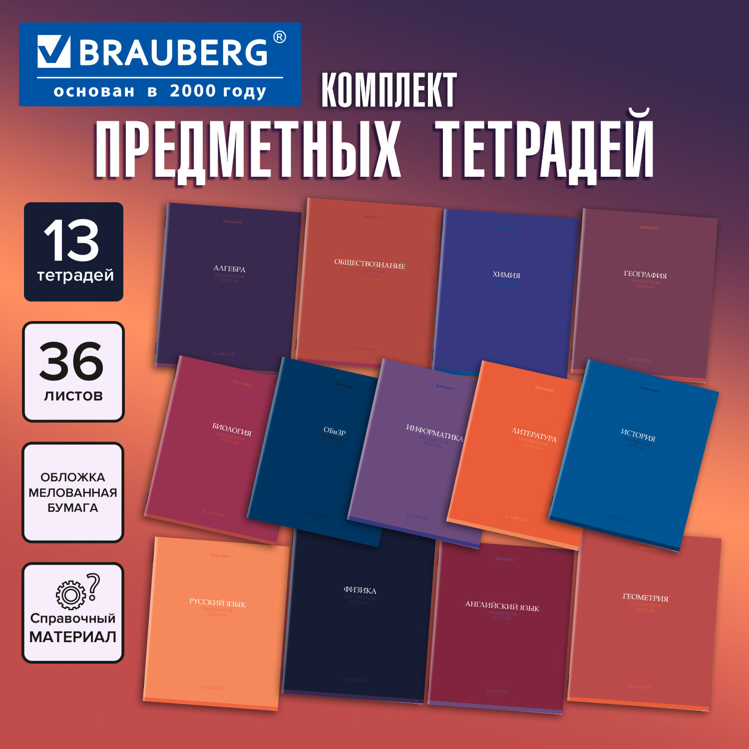 Набор предметных тетрадей Brauberg 405161 (36л) — фото 2