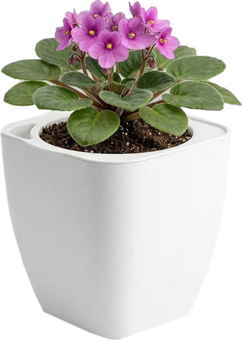 Кашпо BOTANICA Block с автополивом (12.5x12.5см, белый)