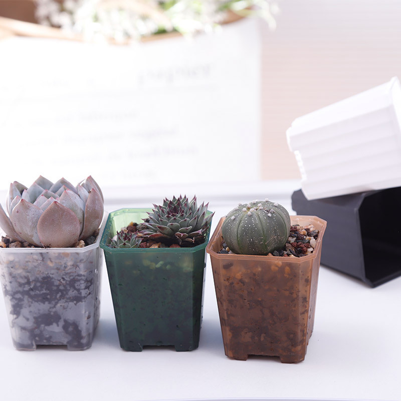 Набор вазонов BOTANICA Compact квадратный (7x8см, коричневый) — фото 3