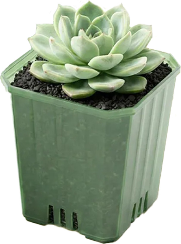 Набор вазонов BOTANICA Compact квадратный (9.5x9.5см, зеленый)