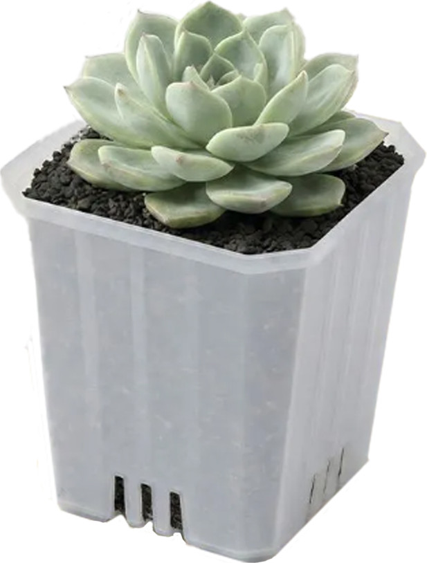 Набор вазонов BOTANICA Compact квадратный (9.5x9.5см, прозрачный)