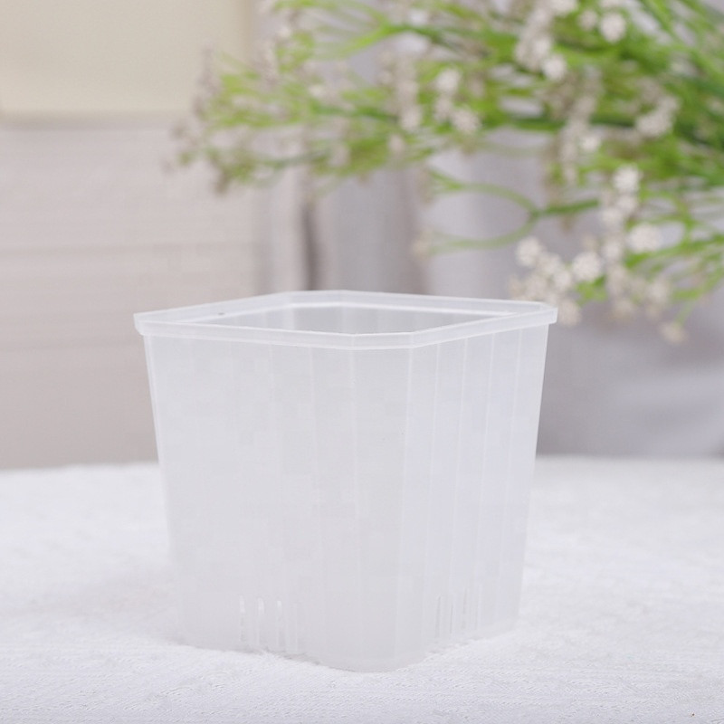 Набор вазонов BOTANICA Compact квадратный (9.5x9.5см, прозрачный) — фото 4