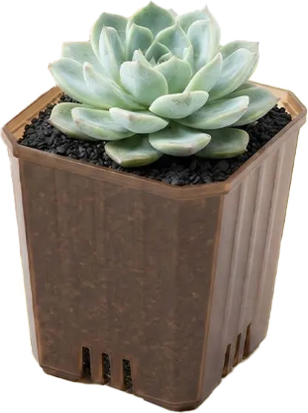 Набор вазонов BOTANICA Compact квадратный (9.5x9.5см, коричневый)