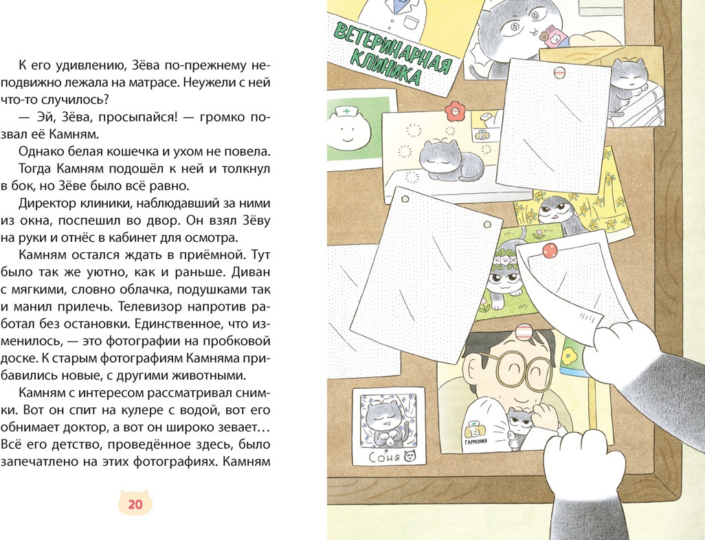 Художественная книга Махаон Доктор Камням (Хон М. 9785389250260) — фото 6