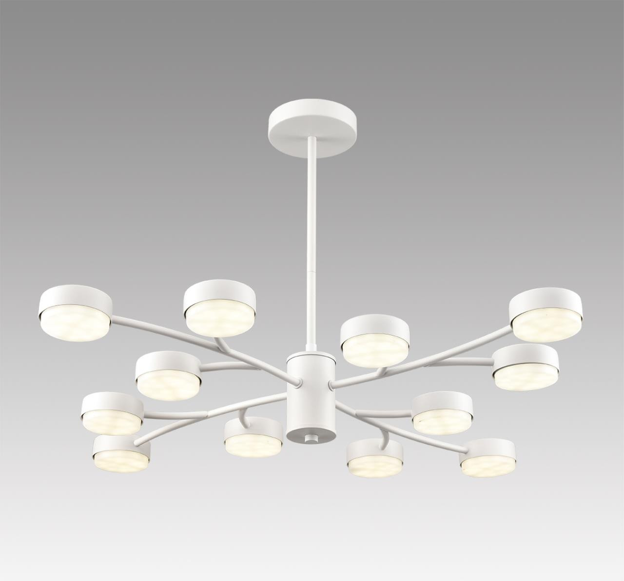 Люстра Lumion Torina 8265/12