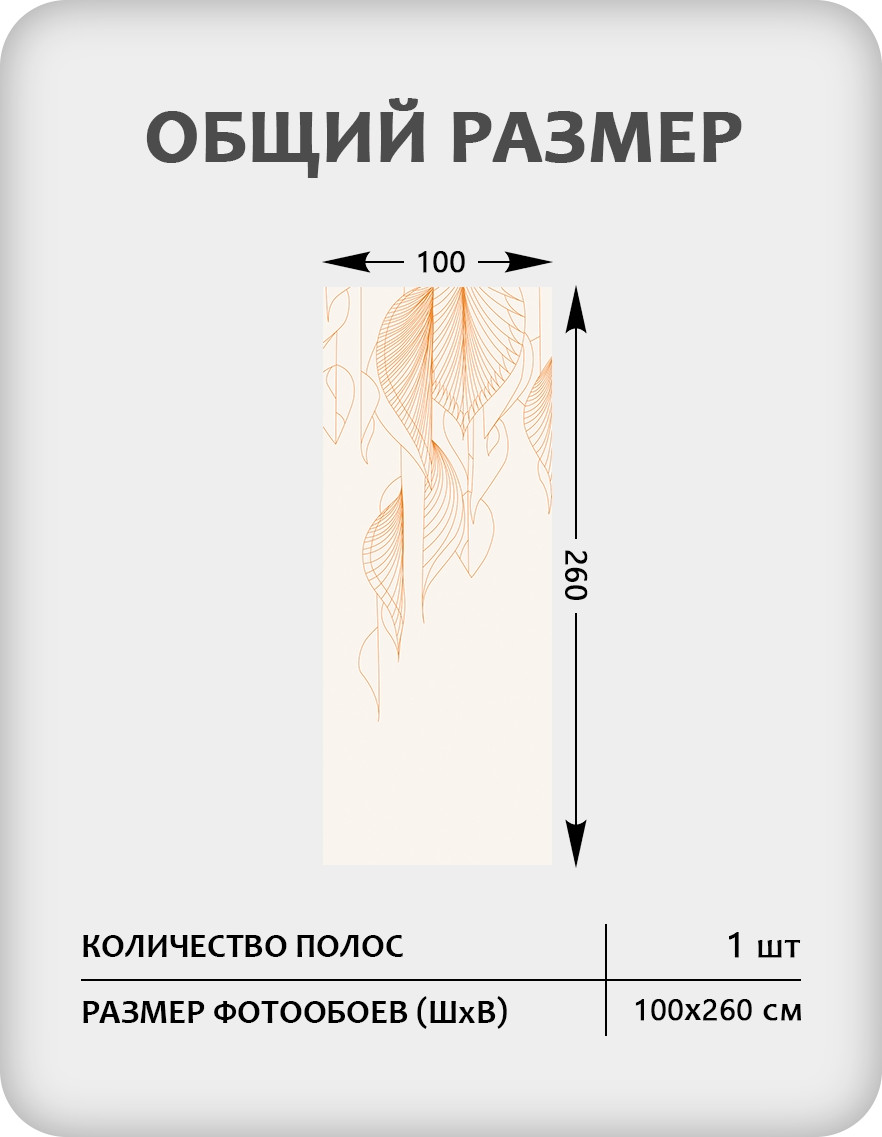 Фотообои листовые Citydecor Perfect Lines 64 (100x260см) — фото 3