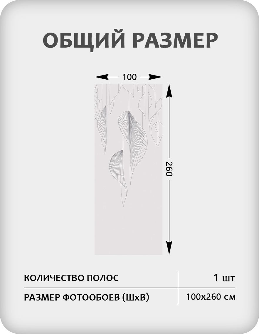 Фотообои листовые Citydecor Perfect Lines 65 (100x260см) — фото 3