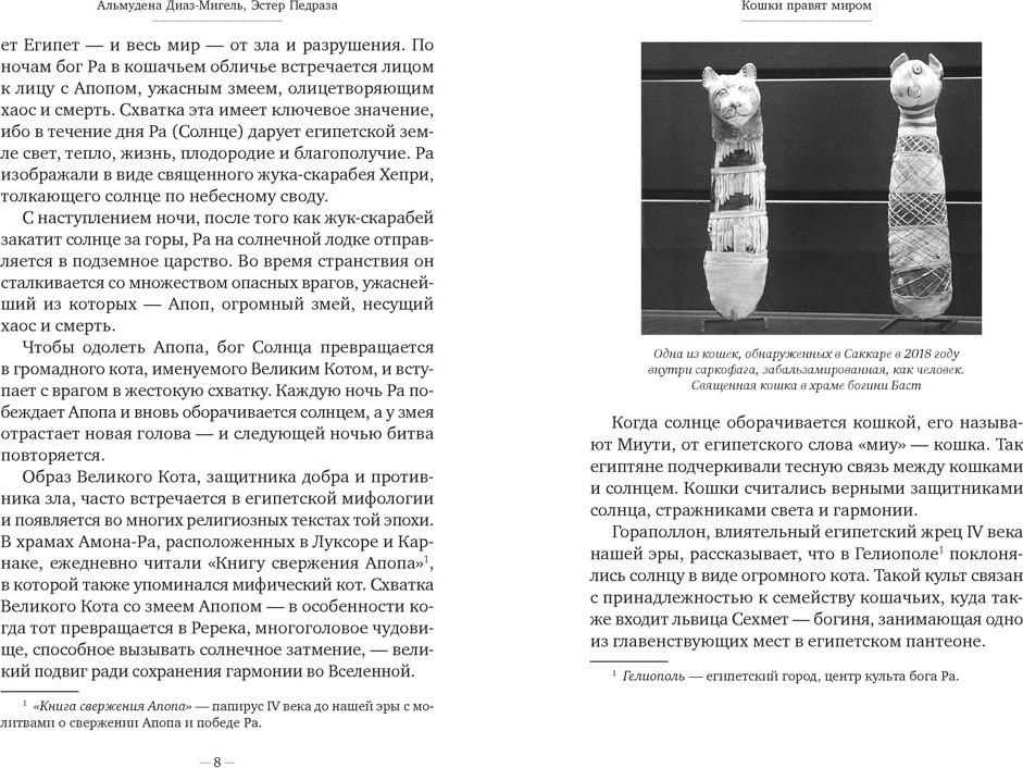 Нехудожественная книга Азбука Кошки правят миром (Диаз-Мигель А., Педраза Э. 9785389299689) — фото 6