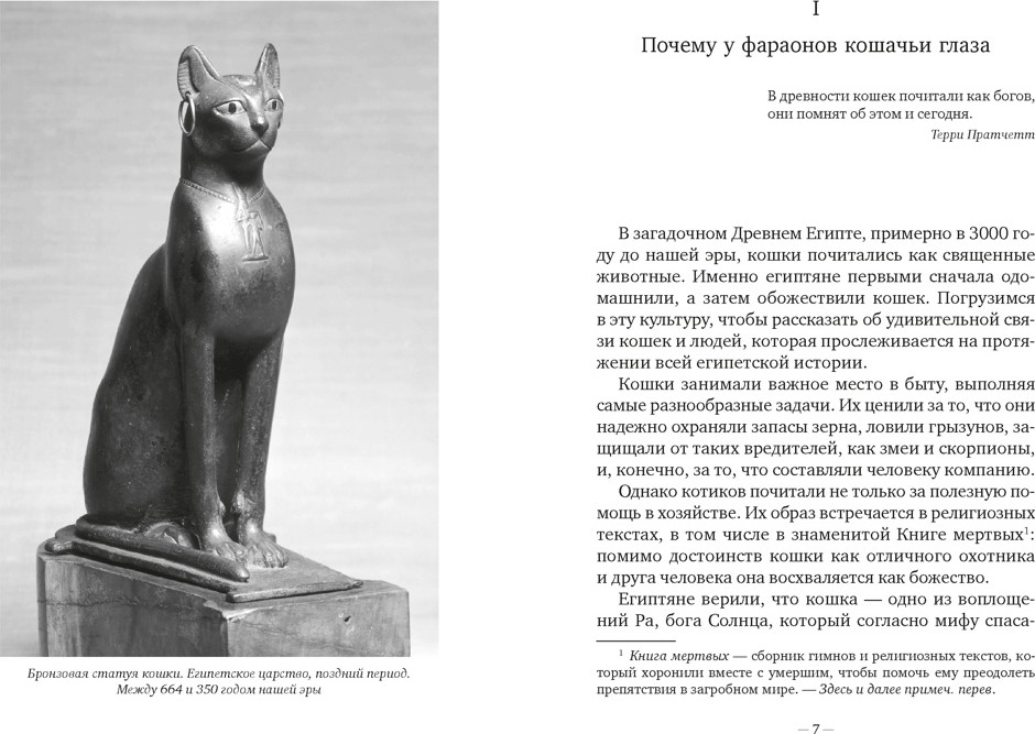 Нехудожественная книга Азбука Кошки правят миром (Диаз-Мигель А., Педраза Э. 9785389299689) — фото 5