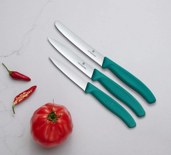 Набор ножей Victorinox Swiss Classic 6.7114.34C1 — фото 3