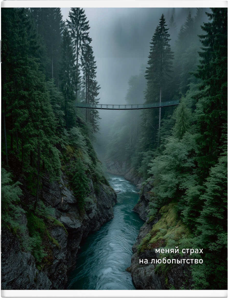 Тетрадь Феникс+ Путь через горы / 73673 (80л)