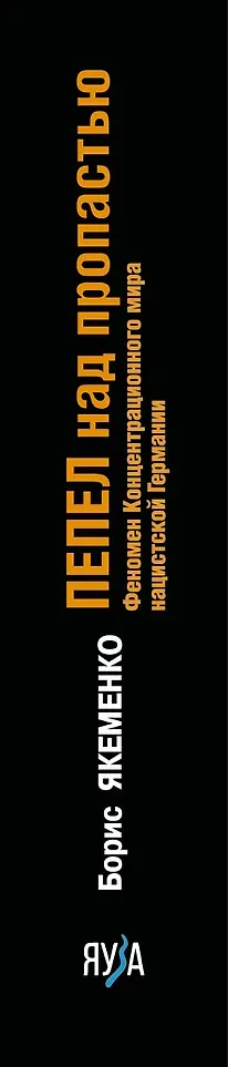 Нехудожественная книга Яуза-пресс Пепел над пропастью (Якеменко Борис 9785995512684) — фото 2