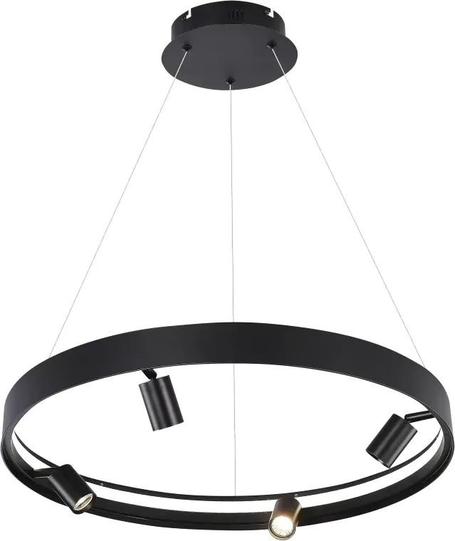 Люстра ILedex Vision 2060-D600 BK