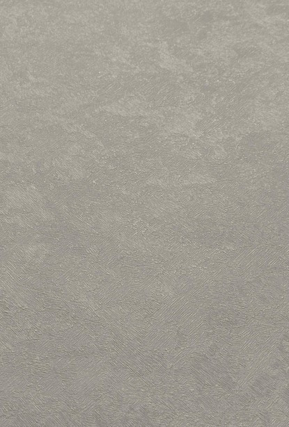 Виниловые обои Casa Alpina ТФ-11-301-06