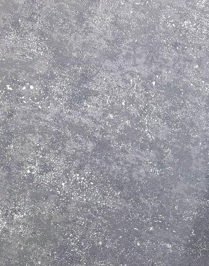 Виниловые обои Casa Alpina ТФ2-11-167-01 — фото 2