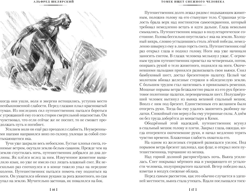 Художественная книга Азбука Томек ищет снежного человека и другие удивительные приключения (Шклярский А. 9785389313309) — фото 6