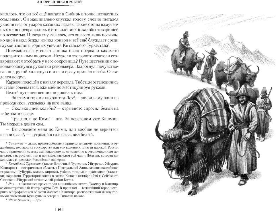 Художественная книга Азбука Томек ищет снежного человека и другие удивительные приключения (Шклярский А. 9785389313309) — фото 5