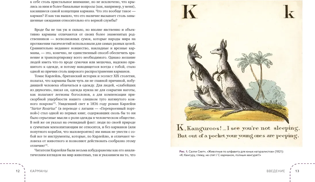 Нехудожественная книга КоЛибри Карманы. Интимная история, или Как держать все в секрете (Карлсон Х. 9785389249714) — фото 3