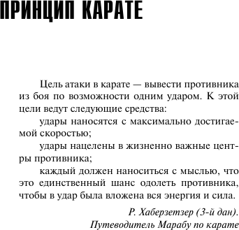 Художественная книга АСТ Принцип карате (Корецкий Данил 9785171797935) — фото 5