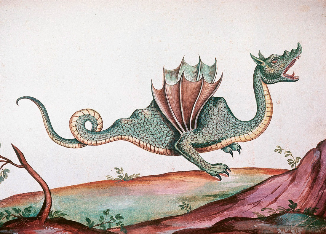 Нехудожественная книга КоЛибри Магические животные. Легенды и суеверия (Кроль-Терзаги Д. 9785389277427) — фото 3