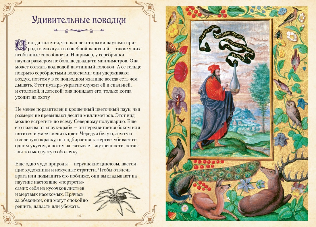 Нехудожественная книга КоЛибри Магические животные. Легенды и суеверия (Кроль-Терзаги Д. 9785389277427) — фото 5