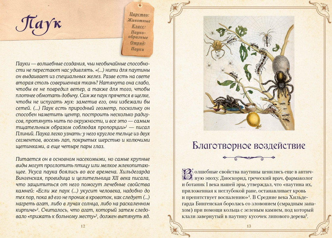 Нехудожественная книга КоЛибри Магические животные. Легенды и суеверия (Кроль-Терзаги Д. 9785389277427) — фото 4