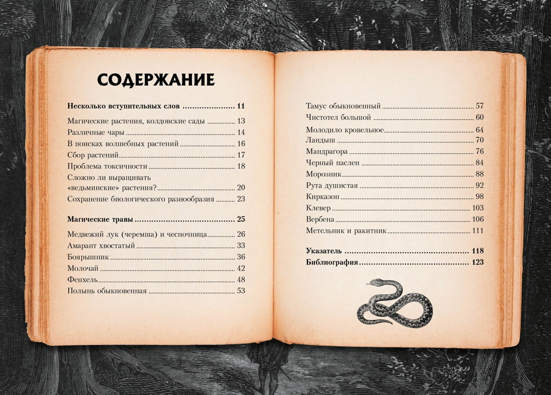 Нехудожественная книга КоЛибри Маленький гримуар ведьмы. Зелья и волшебные травы (Лаис Э. 9785389277410) — фото 3