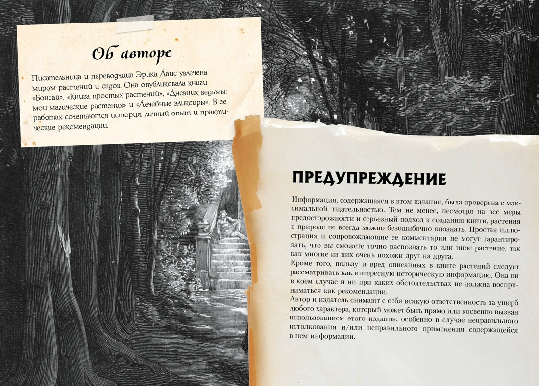 Нехудожественная книга КоЛибри Маленький гримуар ведьмы. Зелья и волшебные травы (Лаис Э. 9785389277410) — фото 2