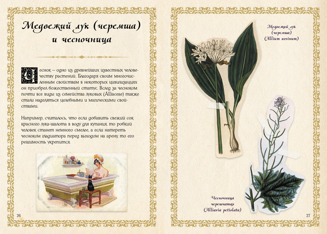 Нехудожественная книга КоЛибри Маленький гримуар ведьмы. Зелья и волшебные травы (Лаис Э. 9785389277410) — фото 6