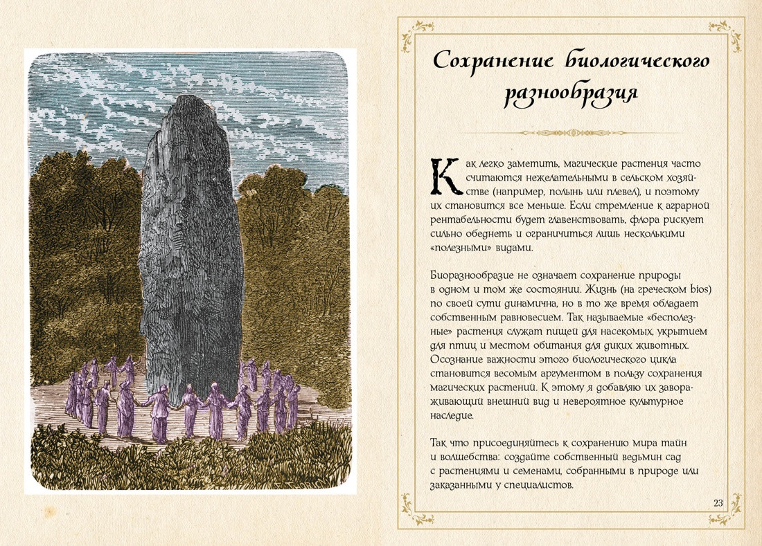 Нехудожественная книга КоЛибри Маленький гримуар ведьмы. Зелья и волшебные травы (Лаис Э. 9785389277410) — фото 5