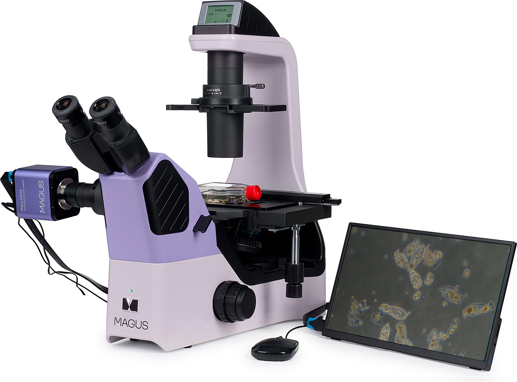 Микроскоп цифровой Magus Bio VD360 LCD / 85287