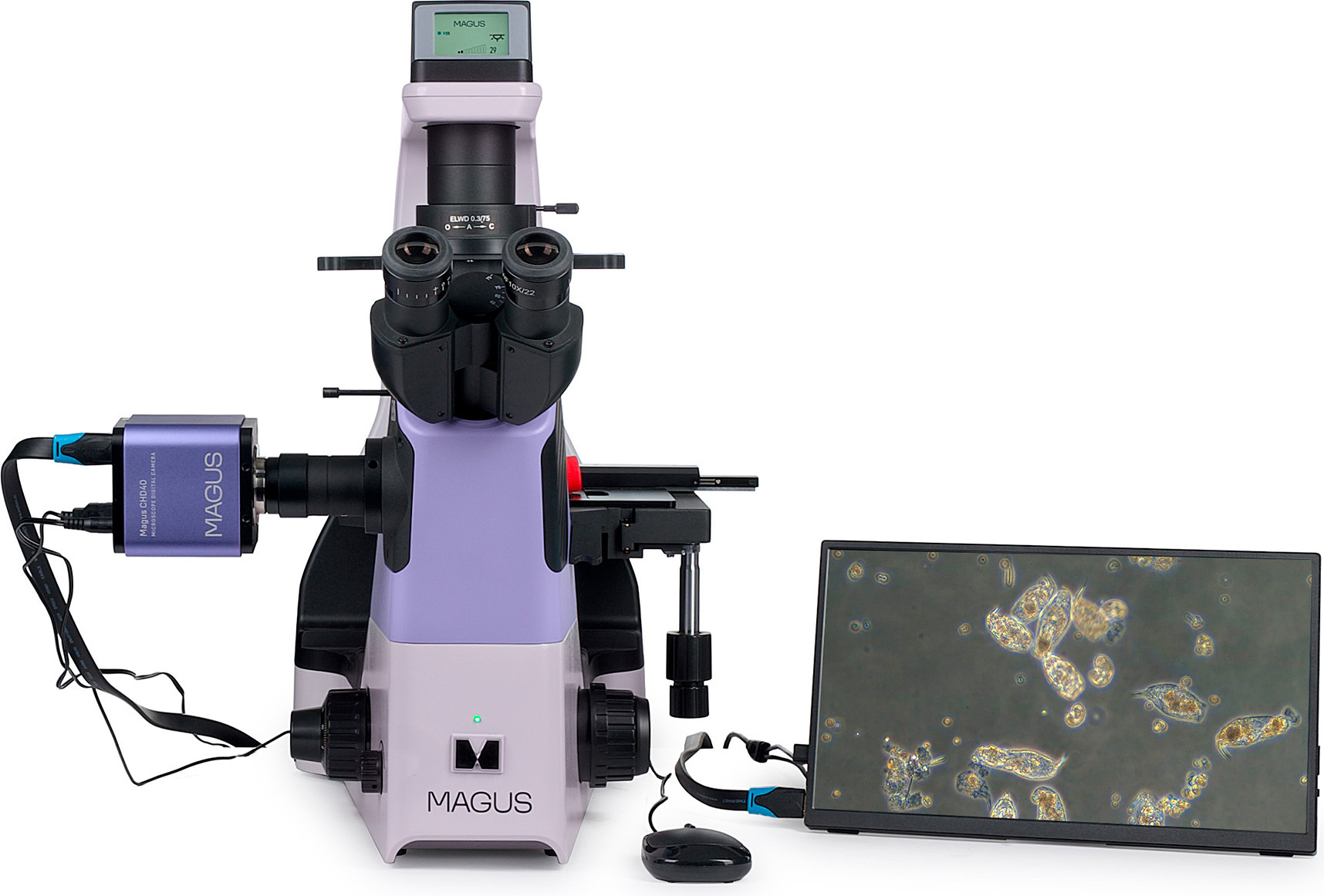 Микроскоп цифровой Magus Bio VD360 LCD / 85287 — фото 4