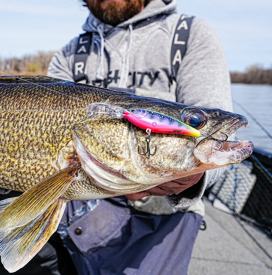 Воблер Rapala Harvest Shad 07 / HVSD07-G — фото 2